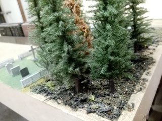 _IMG_20170531_165603.jpg